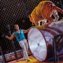 Zelzah Shrine Circus Returns to the Orleans Arena, Now thru 1/12