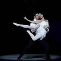 The Australian Ballet Brings Graeme Murphy's SWAN LAKE to Sydney Tonight