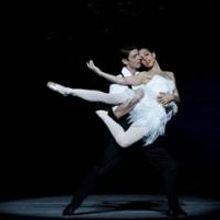 The Australian Ballet Brings Graeme Murphy's SWAN LAKE to Sydney Tonight
