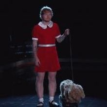 VIDEO: Ed Sheeran to Play ANNIE in Live ABC Production?