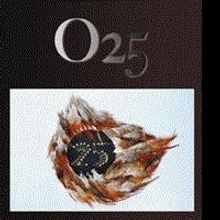 Stella Chan Releases Debut Book, O25