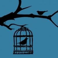 Premiere Reading of BLUEBIRDS by Joe Brondo Set for John Drew Theater Tonight
