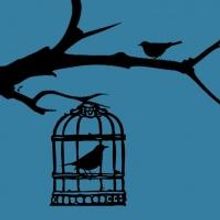 Premiere Reading of BLUEBIRDS by Joe Brondo Set for John Drew Theater Tonight