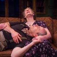 Photo Flash: First Look at Michael Mendelson, Abby Wilde and More in Artists Rep's…