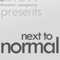 Deep Dish Theater and Cary Arts Center Present NEXT TO NORMAL, Now thru 3/24