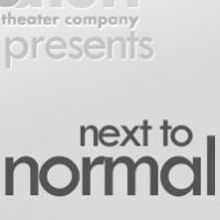 Deep Dish Theater and Cary Arts Center Present NEXT TO NORMAL, Now thru 3/24
