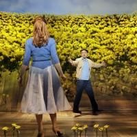Something's Coming: Broadway Fall Season Preview- The Musicals!