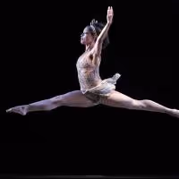 Gotham Arts Exchange Presents 8th Annual DANCE GOTHAM This Weekend