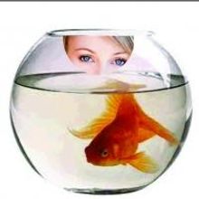 GIRL IN THE GOLDFISH BOWL Opens Bakehouse Theatre's 2013 Season Tonight