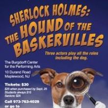 Theater Project to Offer Pay-What-You-Can Performance of THE HOUND OF THE BASKERVILLE