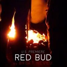 Signal Ensemble Presents RED BUD, Now thru 2/28