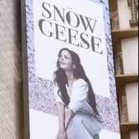 Up on the Marquee: THE SNOW GEESE