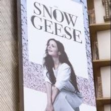 Up on the Marquee: THE SNOW GEESE