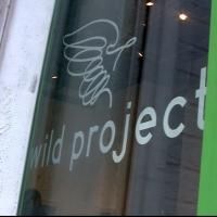 BETWEEN THE SEAS, REDSHIFT and More to Play The Wild Project thru July 2013
