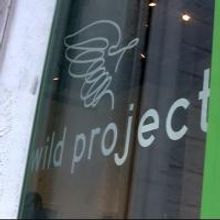 BETWEEN THE SEAS, REDSHIFT and More to Play The Wild Project thru July 2013