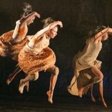 Bangarra Dance Theatre's PATYEGARANG Heads to Arts Centre Melbourne, 8/28-9/6