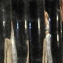 BWW Reviews: Hedda Lives! And She's More Dangerous Than Ever, in National Theatre of