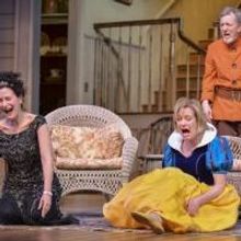 BWW Reviews: VANYA AND SONIA AND MASHA AND SPIKE Opens at the KC Rep