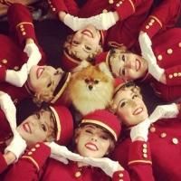 Photo Flash: Saturday Intermission Pics, 3/22, Part 2- Dogs Get in on the Action…