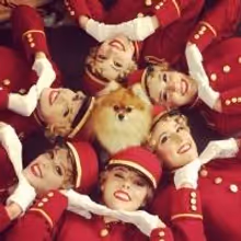Photo Flash: Saturday Intermission Pics, 3/22, Part 2- Dogs Get in on the Action…