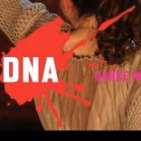 Dance New Amsterdam Announces 2013-14 DNA PRESENTS Season