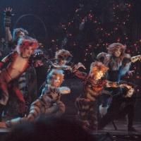 McCoy Rigby Entertainment's CATS Curtain Call and Press Night Celebration at La…