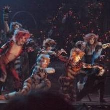 McCoy Rigby Entertainment's CATS Curtain Call and Press Night Celebration at La Mirad