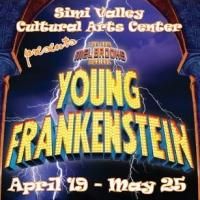 BWW Reviews: Mel Brooks' Hysterical Musical YOUNG FRANKENSTEIN Is Alive In Simi…