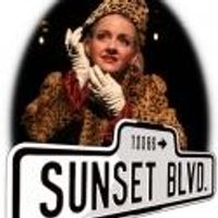 BWW Reviews: The Warner Theatre Ventures Down an Ambitious SUNSET BOULEVARD Photo