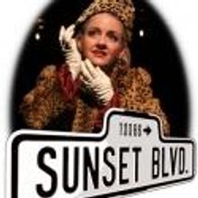 BWW Reviews: The Warner Theatre Ventures Down an Ambitious SUNSET BOULEVARD