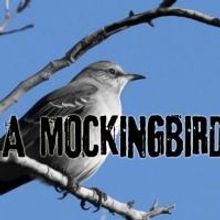 Surfside Players Present TO KILL A MOCKINGBIRD, 2/28