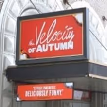 Up on the Marquee: THE VELOCITY OF AUTUMN