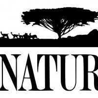 THIRTEEN's Nature Presents 'The Last Orangutan Eden' on PBS Tonight