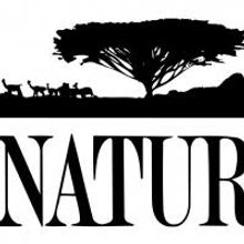 THIRTEEN's Nature Presents 'The Last Orangutan Eden' on PBS Tonight