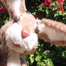 AZ Puppet Theater Announces Upcoming Shows