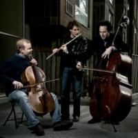PROJECT Trio Performs with Canton Symphony Tonight