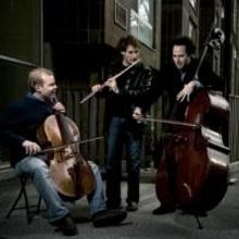 PROJECT Trio Performs with Canton Symphony Tonight