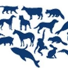 Buffalo Exchange Joins The Human Society of the United States with a $1 Earth Day Sal