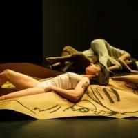 BWW Reviews: Gwen Welliver's BEASTS AND PLOTS is Alive, Shifting between Portraiture and Caricature