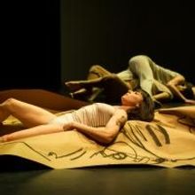 BWW Reviews: Gwen Welliver's BEASTS AND PLOTS is Alive, Shifting between Portraiture 