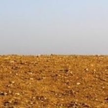 The Catastrophic Theatre Extends WAITING FOR GODOT for One Week