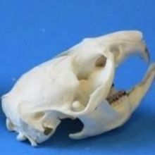 Circuit Theatre Presents a World Premiere by John Kuntz, 8/2-16