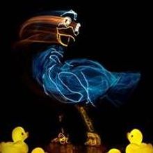 THE UGLY DUCKLING & THE TORTOISE AND THE HAIR Set for WHBPAC Today