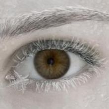 Rogue Machine to Launch World Premiere of LOST GIRLS, 9/14