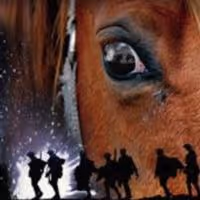 WAR HORSE to Ride into Fisher Theatre for Limited Run, Begin. 12/17