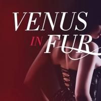 Milwaukee Rep's VENUS IN FUR to Open 9/27