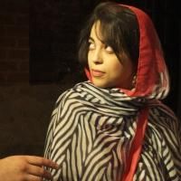 BWW Reviews: NIGHT BLOOMING JASMINE Revisits Israeli/Palestinian Conflict in Romeo…