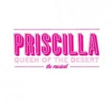 PRISCILLA QUEEN OF THE DESERT Comes to DPAC, Now thru 5/5