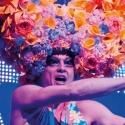 PRISCILLA QUEEN OF THE DESERT Set to Tour the UK Starring Jason Donovan- Opens at…