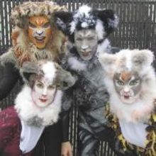 Photo Flash: Highland Park Players' CATS Begins Tonight